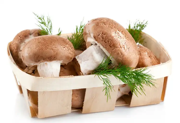 Industrial & Nutritional Uses of Ergothioneine Powder